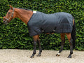 100g Horse Under Rug With Surcingles