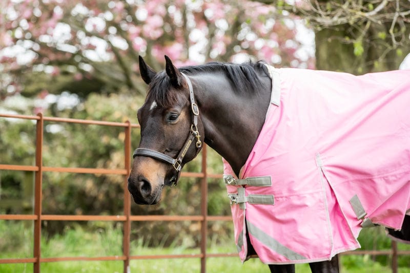 100g Detachable Neck Turnout Rug - Baby Pink