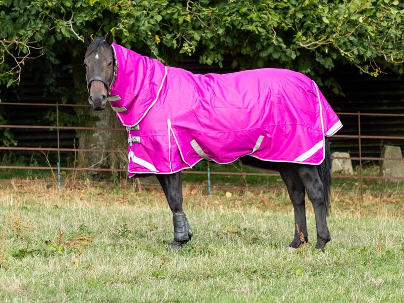 100g Detachable Neck Turnout Rug - Mulberry